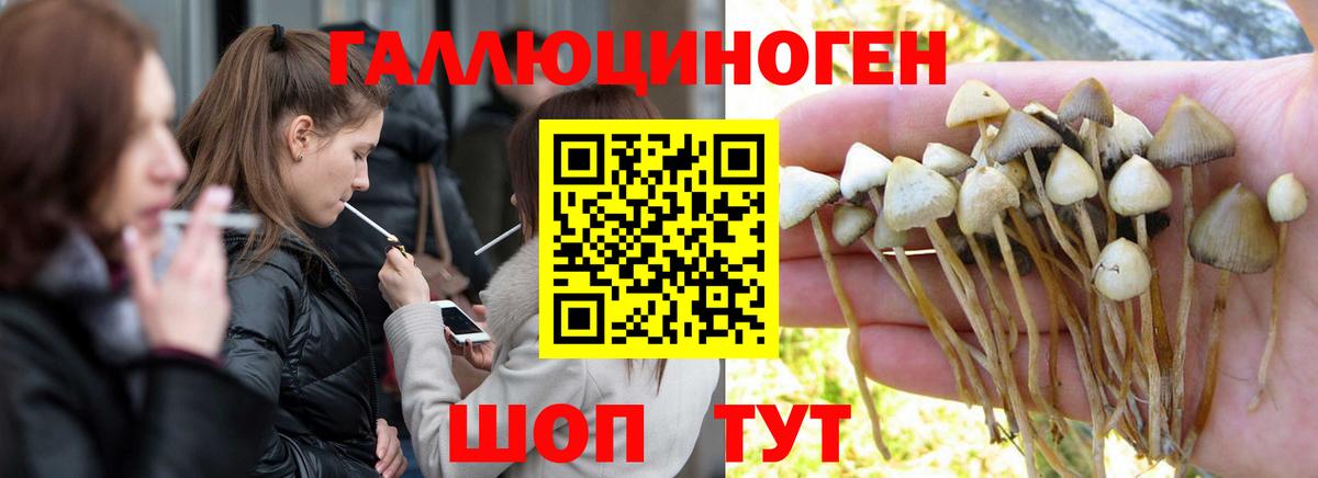 Псилоцибиновые грибы прущие грибы  Псилоцибиновые грибы GOLDEN TEACHER  Кыштым  Вход с VPN 