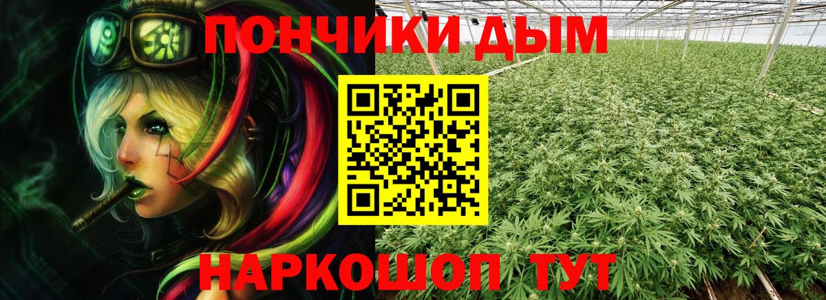 Бошки Шишки ГИДРОПОН Кыштым
